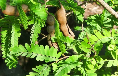 45e5e6fa70fb8842790b9c62cf5cf8f9