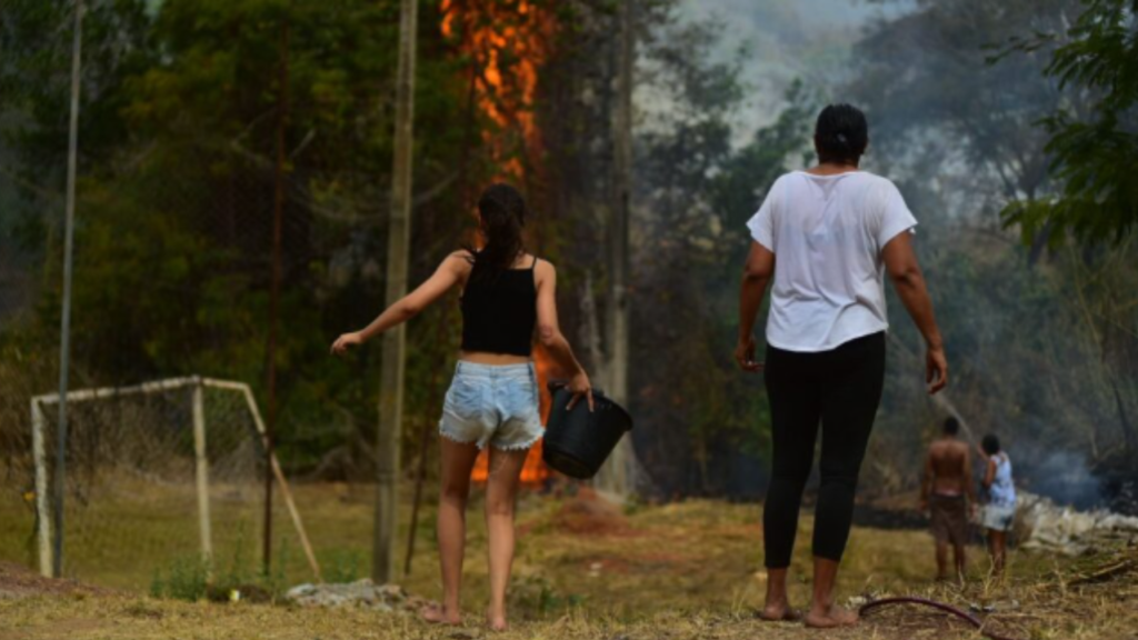 Moradores tentando apagar fogo em mata em Goiás (Foto: Mais Goiás/Jucimar de Sousa)