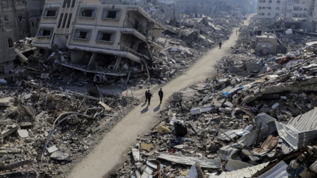 Cachorros em Gaza estão comendo corpos nas ruas