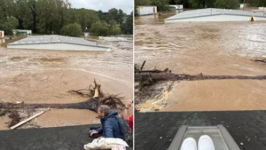 Furacão Helene: mulher posta foto pedindo socorro para os pais idosos ilhados em enchente e pouco depois eles desaparecem — Foto: Reprodução/Facebook