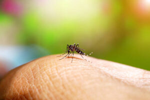 Goiás está em situação de emergência por dengue