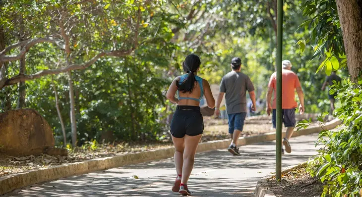 reproducao luciana pires