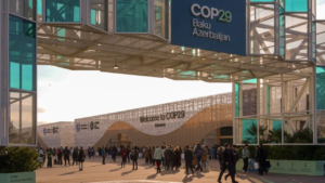 COP29