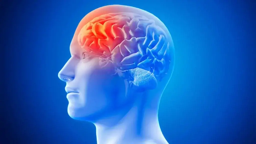 Foto de Capa avc hoje