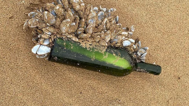 garrafa lançada ao mar