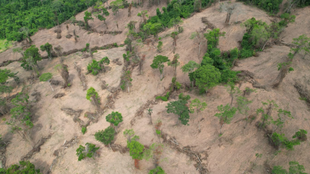 O sistema Prodes, do Inpe, revelou que Goiás registrou em 2024 o menor índice de desmatamento desde o início do monitoramento, em 2001 Foto: Divulgação/Semad