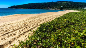 CCJ do Senado agenda votação da PEC das Praias para esta quarta-feira (4)