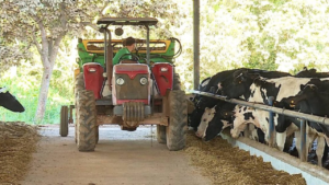 O agronegócio goiano encerra 2024 com resultados expressivos em várias cadeias produtivas, reafirmando a relevância do estado no cenário nacional e internacional Foto: Divulgação