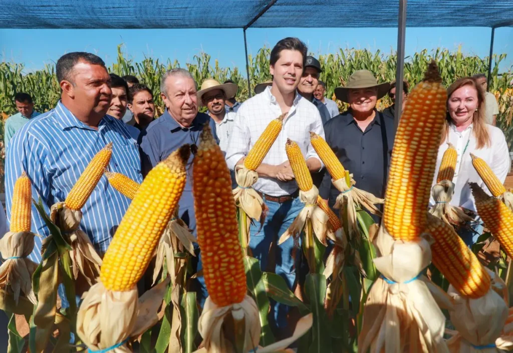 vale do araguaia