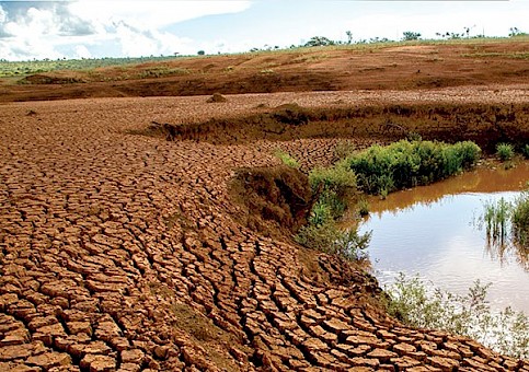 FOTO: GABRIEL LINDOSO / GREENPEACE