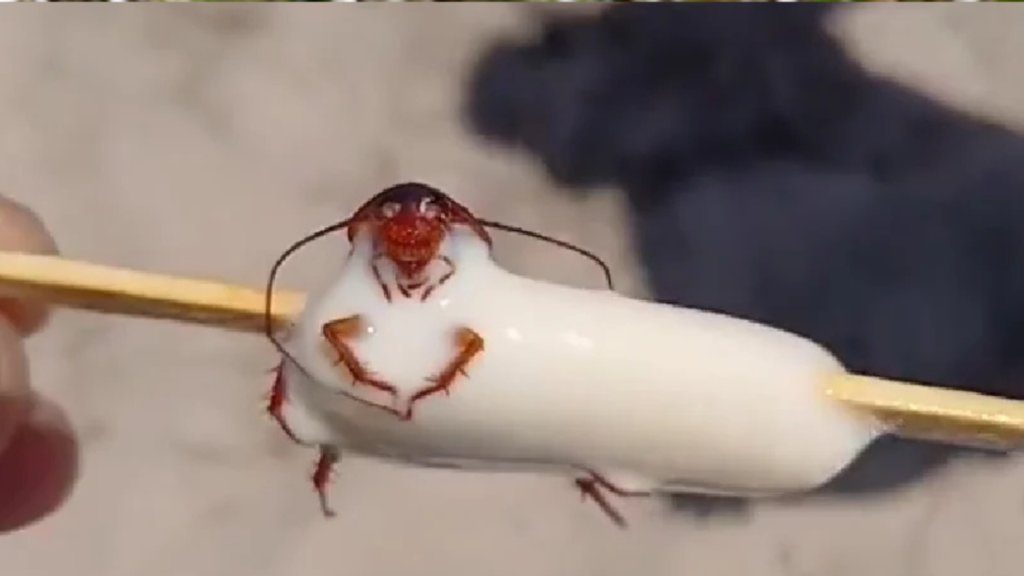 Foto de Capa 2025 03 07T200359.127