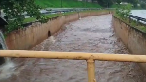 Defesa Civil e órgãos municipais atuam em Goiânia durante temporal Foto: Divulgação