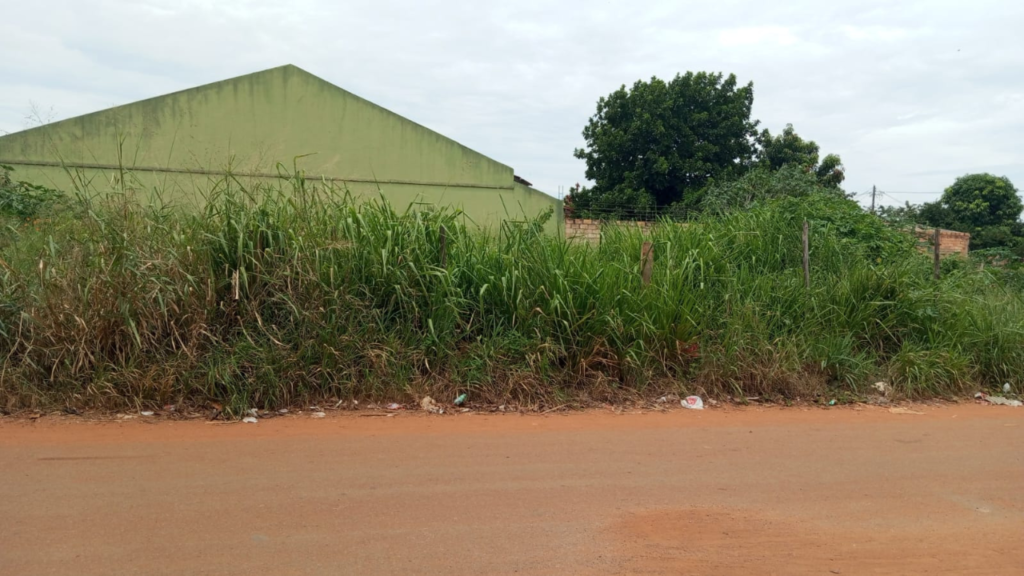 Moradores denunciam mato alto na Vila Delfiore Foto: Divulgação