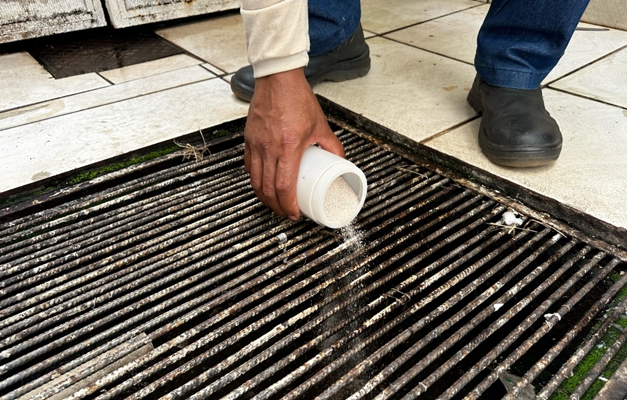 Dengue
