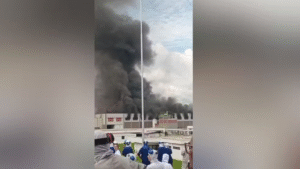 Incêndio de grandes proporções atinge fábrica da BRF em Uberlândia Foto: Divulgação