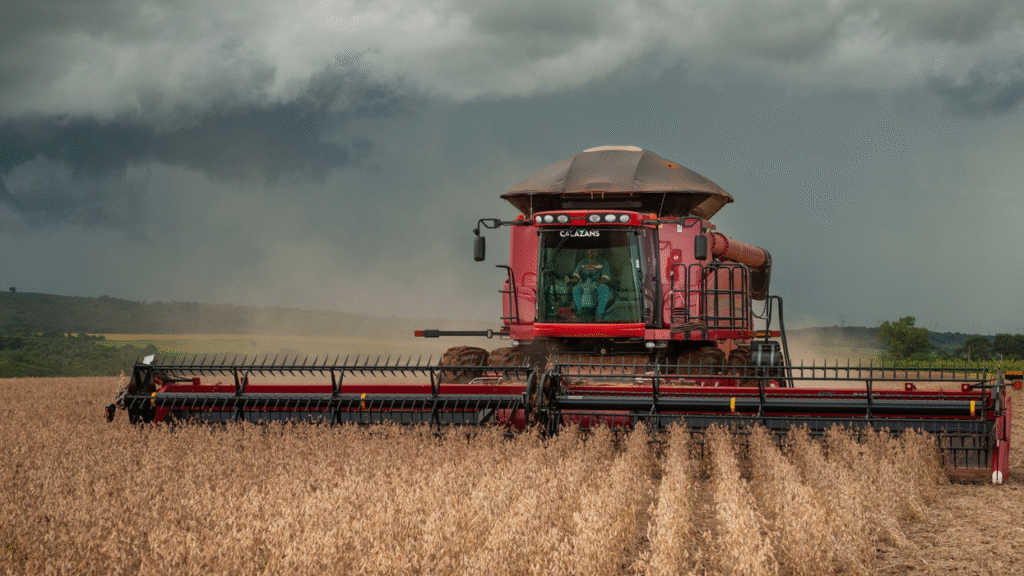 O impacto da estiagem é sentido especialmente no campo, onde as lavouras de soja e milho enfrentam riscos de redução de produtividade e até quebra de safra em áreas mais afetadas Foto: Enio Tavares | Seapa
