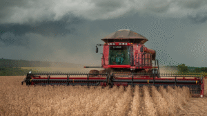 O impacto da estiagem é sentido especialmente no campo, onde as lavouras de soja e milho enfrentam riscos de redução de produtividade e até quebra de safra em áreas mais afetadas Foto: Enio Tavares | Seapa
