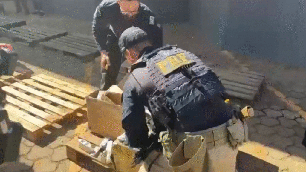 Carga avaliada em R$ 2 milhões é apreendida na BR-153 com remédios ilegais, eletrônicos e anabolizantes Foto: Divulgação