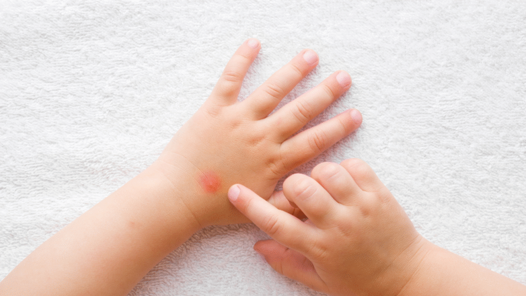 IMAGENS 2025 05 07T224237.469