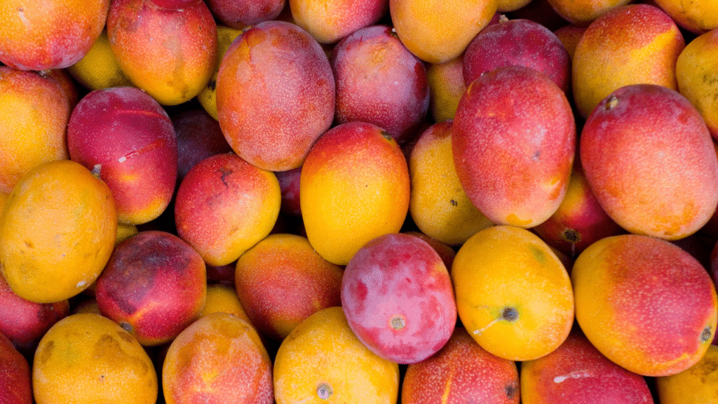 IMAGENS 2025 05 27T122410.933