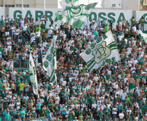 WhatsApp Image 2021 09 15 at 11.02.09