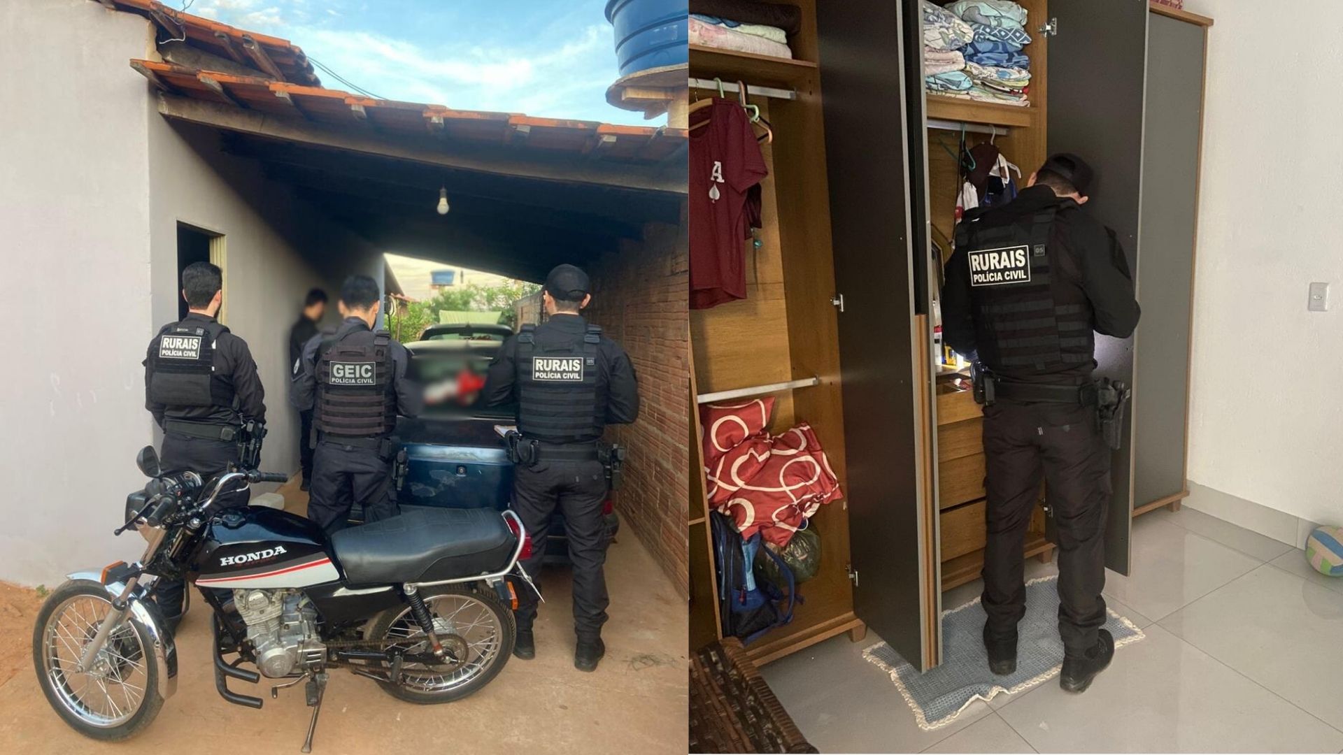 Operação desmantela esquema de furto de gado e abate clandestino no ...
