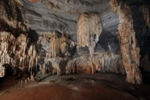 Foto: arquivo ICMBio