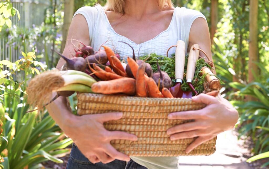woman carrying basket full of veg
