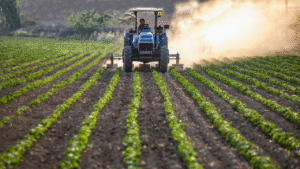 BBB 25 2025 06 02T150104.880