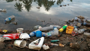 ONU: Dia Mundial do Ambiente é marcado por mobilização contra o plástico