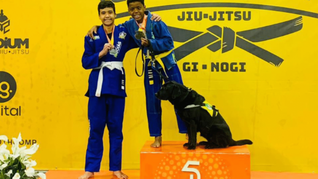 O projeto promove inclusão, aprendizado e acolhimento em escolas, hospitais e abrigos Foto : Divulgação/Curaa