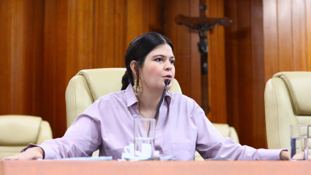 "Desrespeito ao Parlamento": Aava Santiago cobra explicações de secretário de Cultura após fala ofensiva Foto: Divulgação