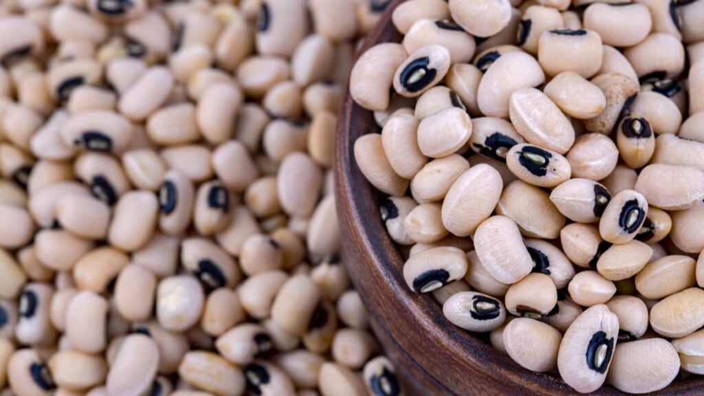 Goias inicia parceria para exportacao de feijao caupi biofortificado a India 1