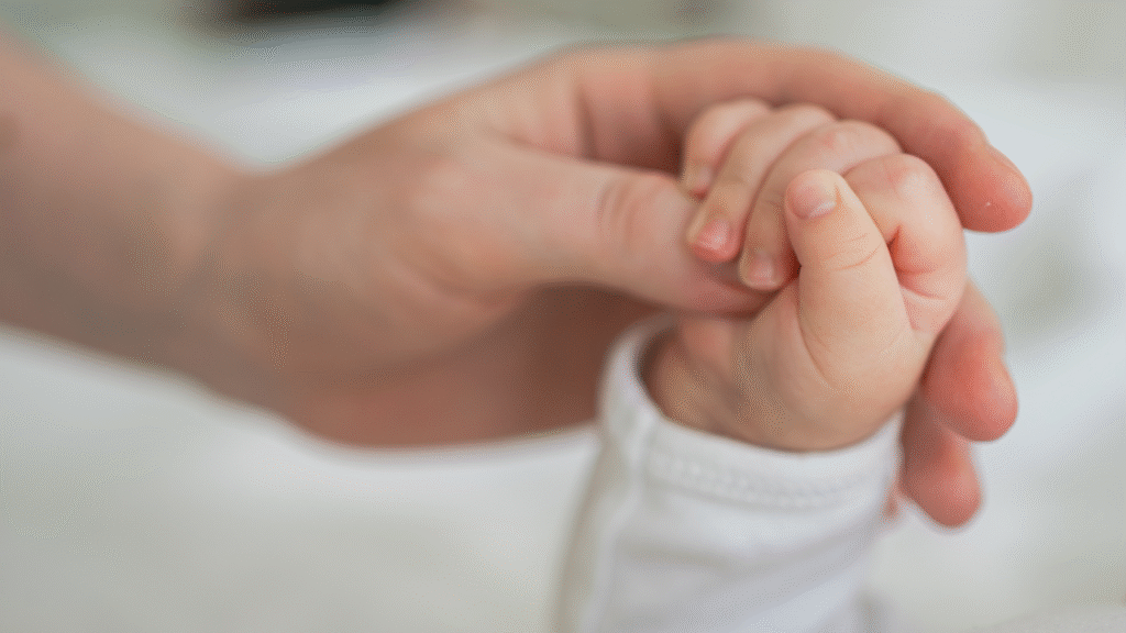 IMAGENS 2025 06 05T232751.982