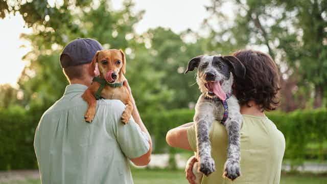 file 20250605 56 pbcwwp