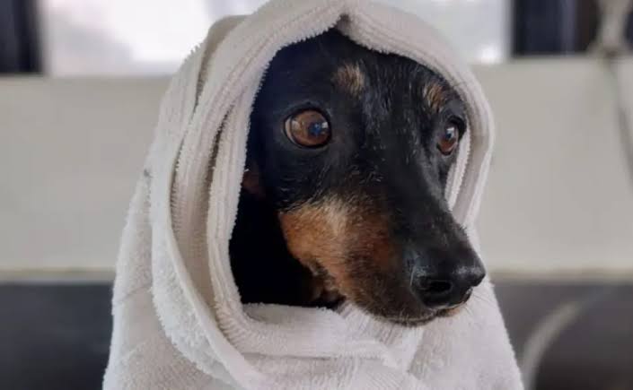 images 2025 06 10T154047.692