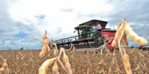 0B940918 12F2 4146 B446 FAB116B79224