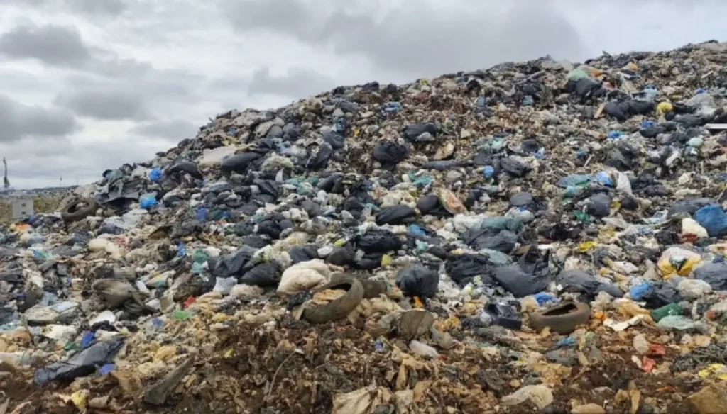 10 abre Divulgacao MPGO