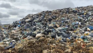 10 abre Divulgacao MPGO