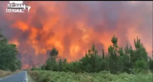 Calor extremo atinge Europa e provoca incêndios florestais