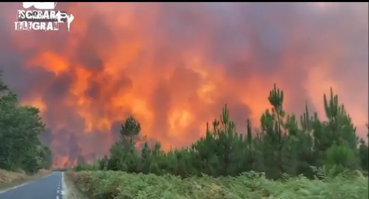 Calor extremo atinge Europa e provoca incêndios florestais