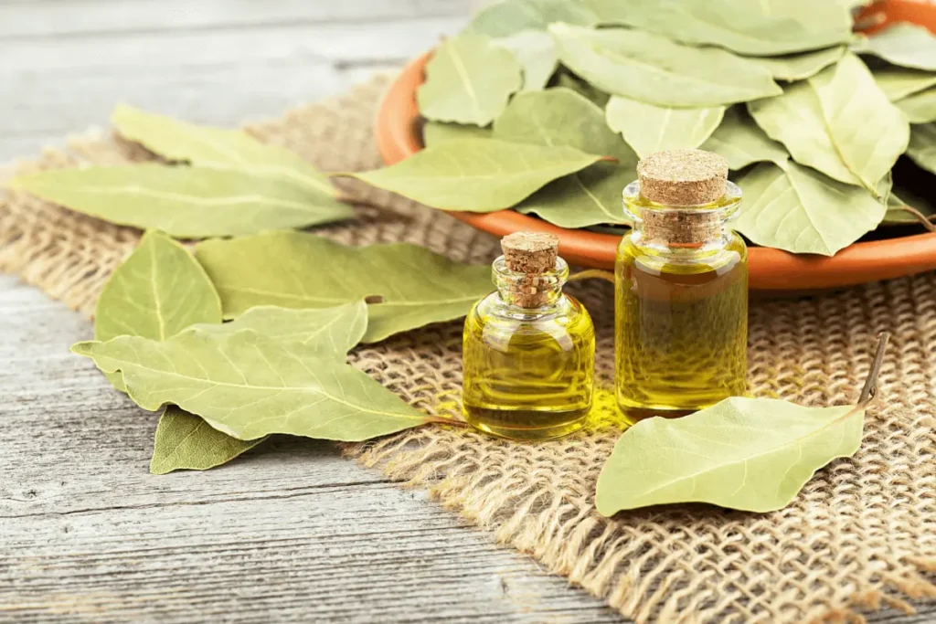 16 MATERIA CREDITOS Shutterstock