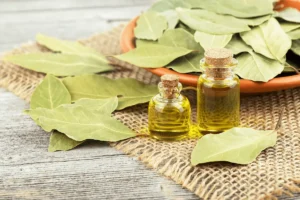 16 MATERIA CREDITOS Shutterstock