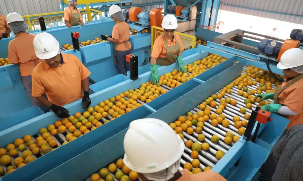 Suco de laranja, petróleo, veículos e fertilizantes ficaram fora da lista Foto: Ari Dias/Governo do Paraná