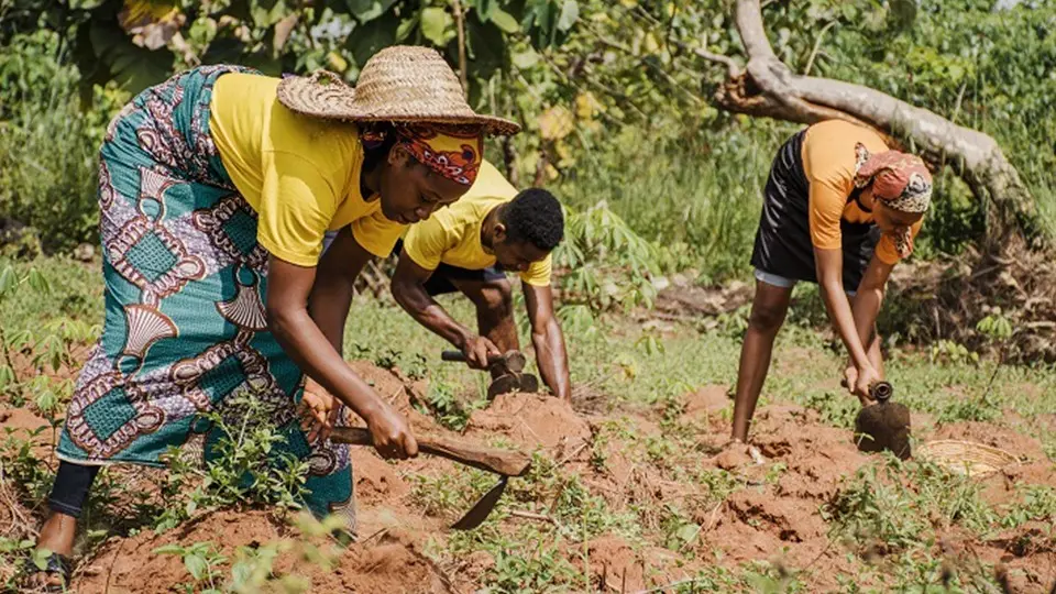 A força de trabalho feminina também ganhou protagonismo Foto: Freepik