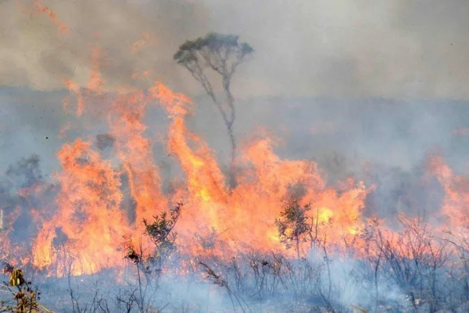 Desmatamento no Cerrado