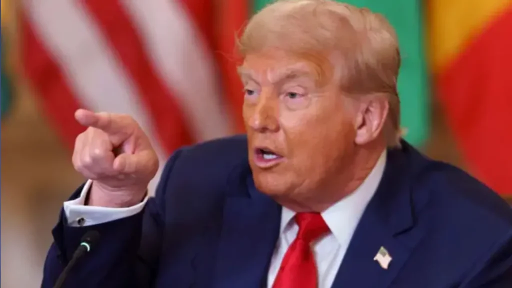 Foto de Capa 2025 07 12T103714.661