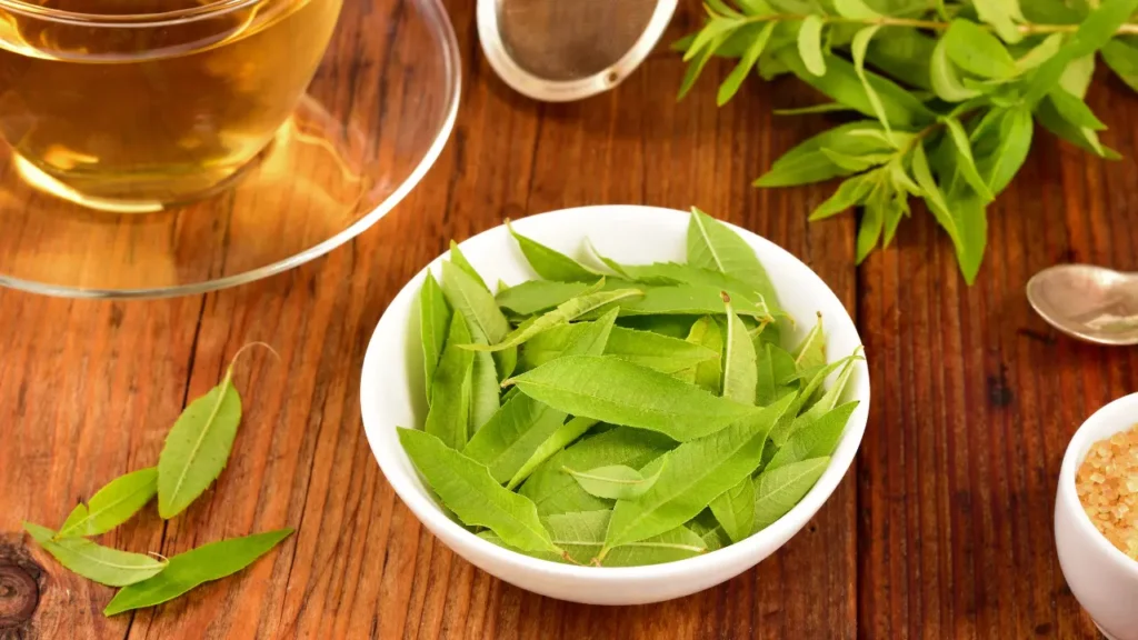 IMAGENS 2025 07 19T094602.382