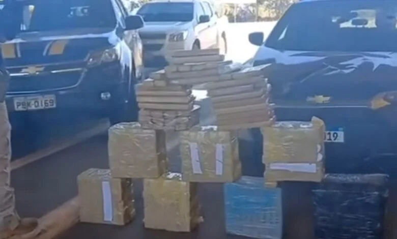 WhatsApp Image 2025 07 08 at 07.08.51 780x470 1