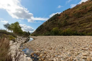 Recursos do planeta para 2025 se esgotam antes de agosto
